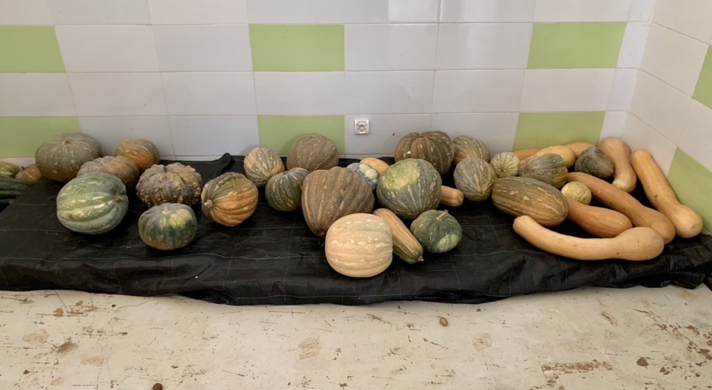 TromlerMiklos's tweet image. Mardi 12/10 on lance la 1ère action de sensibilisation de la jeunesse avec #CIAT pour le #compostage le #tri #sélectif et la protection de l’environnement. Grâce à #Profikomp on offre des composteurs et à #Attawafouk la solution de tri des déchets ♻️ une chaîne de valeur complète