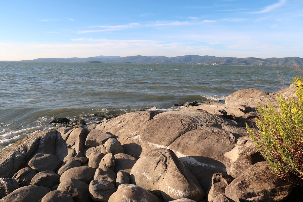 naoko_perugia's tweet photo. 秋分の日に #ポルヴェーセ島 を訪ね、展覧会を見て、石の浜で波を眺めながら日光浴。さらに島をぐるりと歩いて回り、#夕日 を見送ってから、港に向かうと空も #トラジメーン湖 もピンクに包まれて美しい。#イタリア #ウンブリア
#IsolaPolvese #LagoTrasimeno #Umbria #Italy
https://t.co/tTXXQXYWKe https://t.co/gvt5EcTuFU