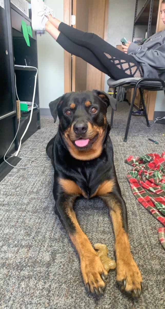 _HTOWN1_'s tweet photo. @ImAllyyy She’s the goodest girl https://t.co/1uvj2suEs1