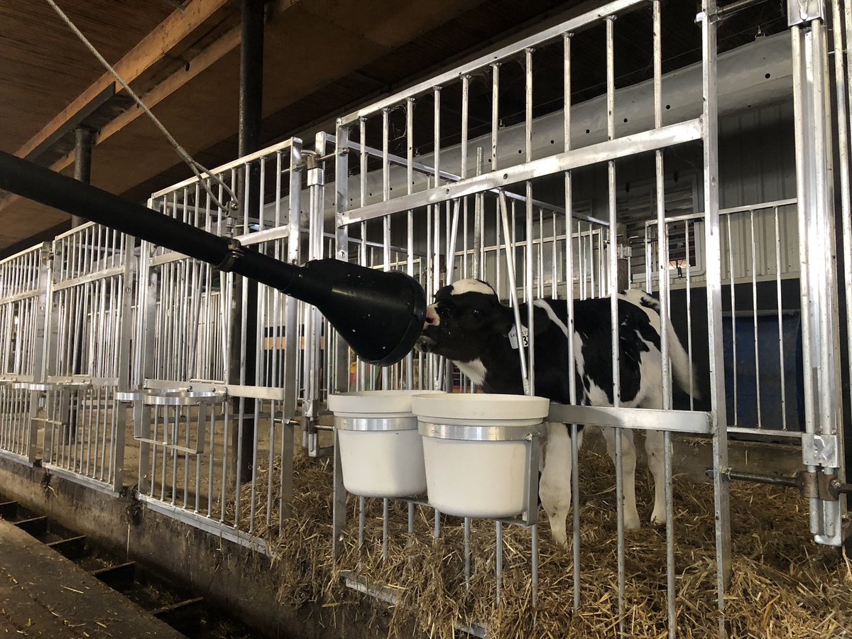 The Förster Technik CalfRail in action at Haanview Farms! 

#automation #dairy #ontag
