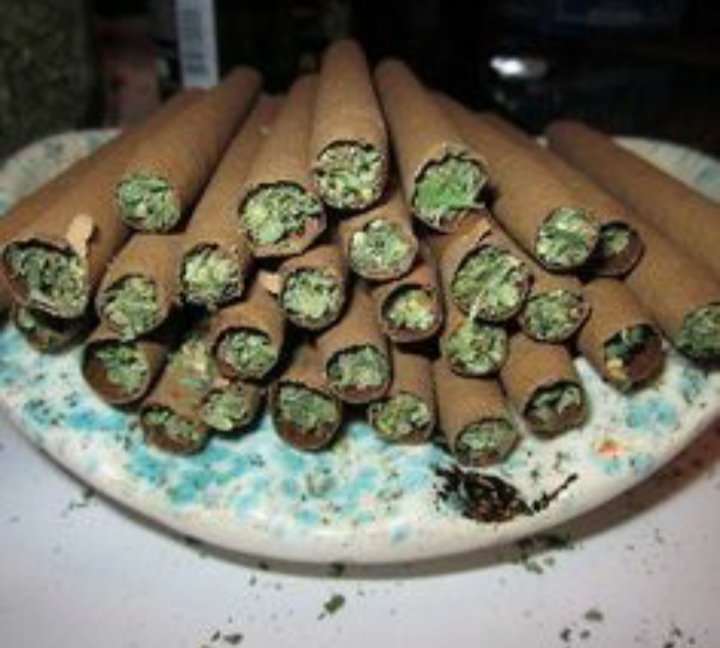 Tjeerd001's tweet photo. LemonKush,What's on your plate?! https://t.co/27NXOm5nIl