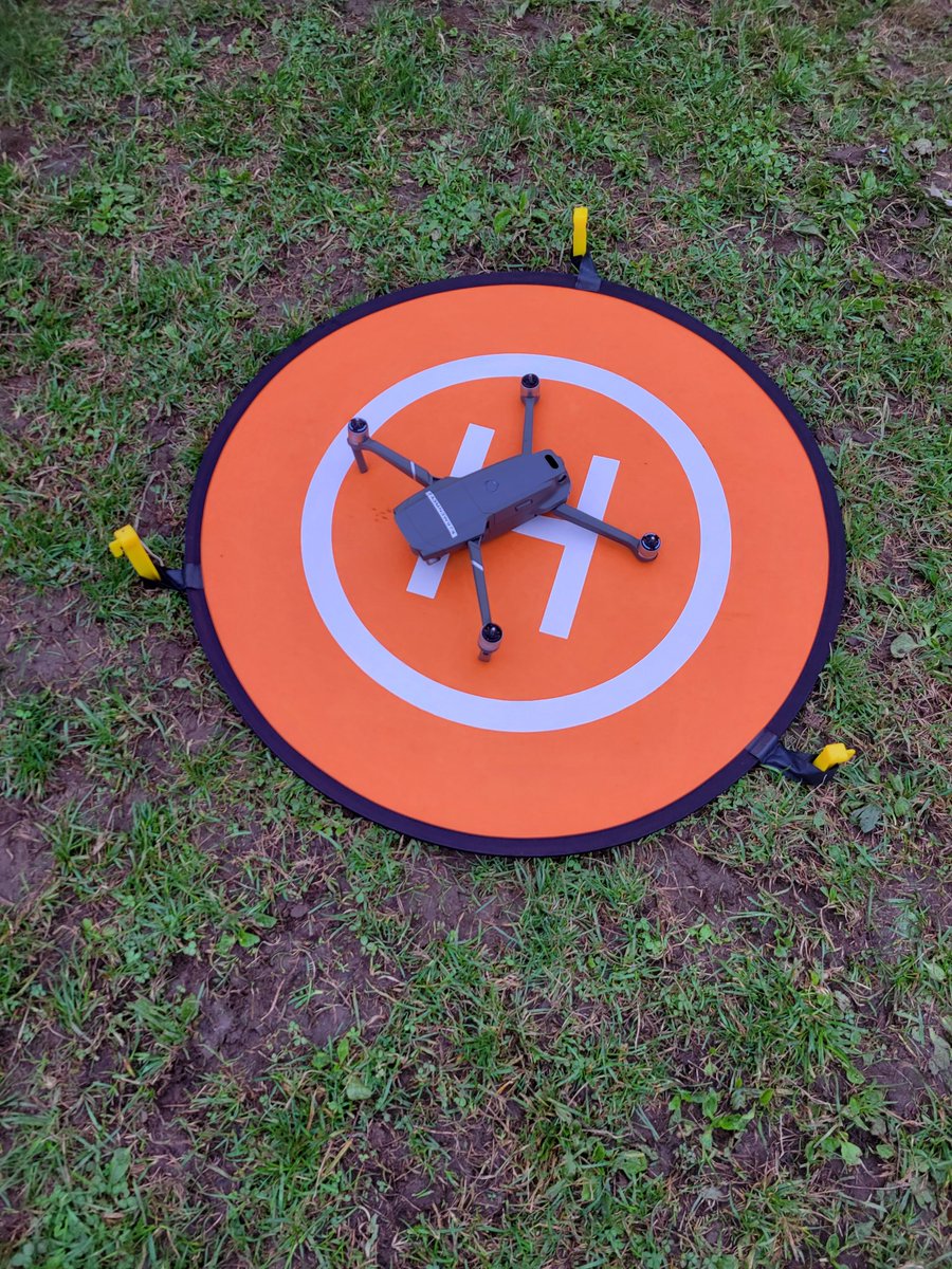 Carol Polimino tweet media