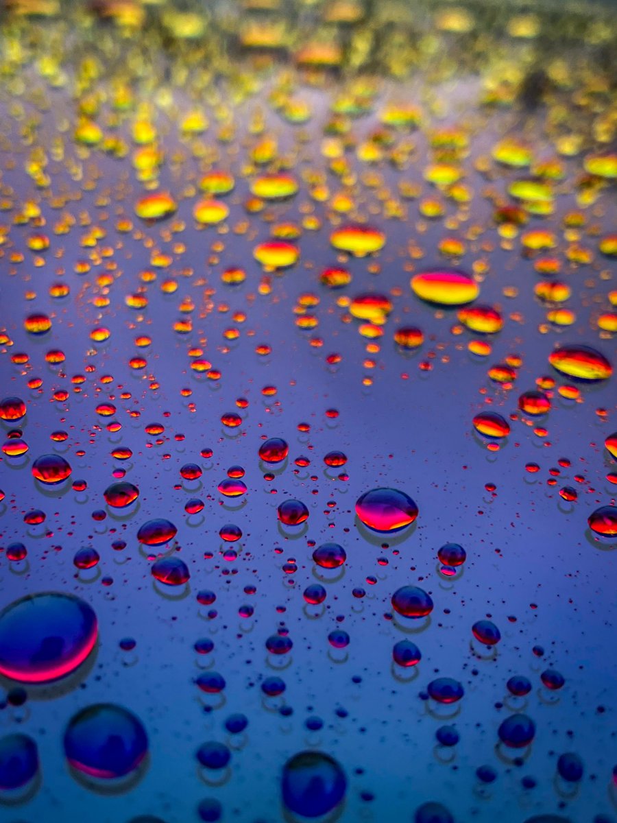 ‼️🚨  2K  NFT GIVEAWAY   🚨‼️

TO ENTER:

-rt🔁 and like❤️

-make sure you’re following! 

there will be three (3) winners picked through a random winner generator Saturday Oct. 9th at 7 pm. est.

~The First Genesis~

(cont..)