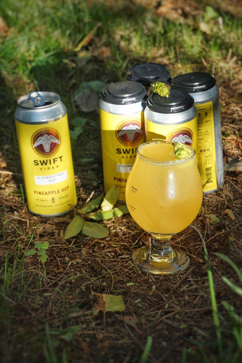 NewSchoolBeer's tweet photo. Fresh Hop Pineapple Cider from N. Portland's @SwiftCider is worth seeking out https://t.co/L901rWDRKh
#nwcider #cider #hoppedcider #freshhop #freshhopcider #hopcider #drinkcider #pdxdrinks #pickcider https://t.co/Y5Mg3Qe0rm