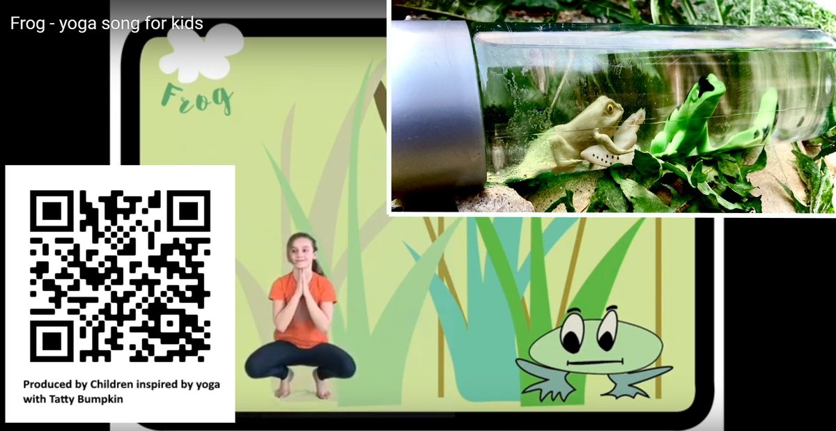 ThatsElementary's tweet photo. #Awesome #amphibian #fun in the #woods #reading #FrogvsToad @BenMMantle @WalkerBooksUK #Frog Toad #learn 2 #celebrate their #differences &amp; #Similarities #diversity #Book filled with #scientific #toad frog facts perfect 4 #outdoorlearning #BenMantle #reads https://t.co/LKRKOti3Wr https://t.co/RgIqqKG8Pi