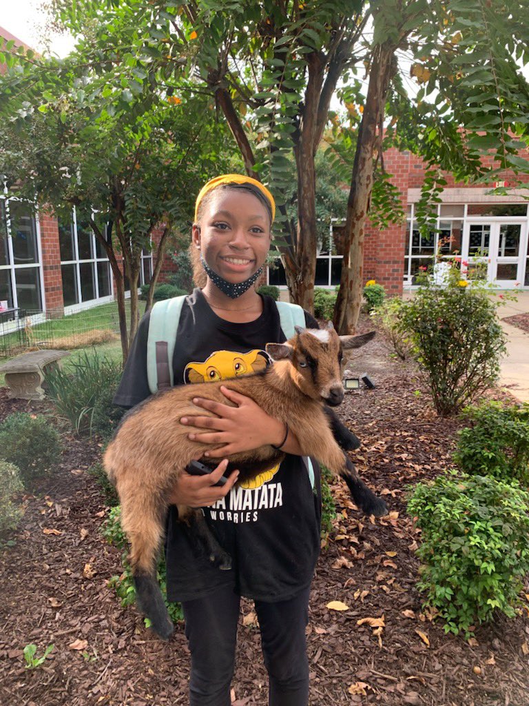 JolliffMiddle's tweet photo. Thank You Mrs Atkinson for demonstrating our commitment to making school fun and interactive! The goats are great, smile-inducing visitors! #allinforgoats #pygmypower #engageCPS https://t.co/I7yeldrkbN