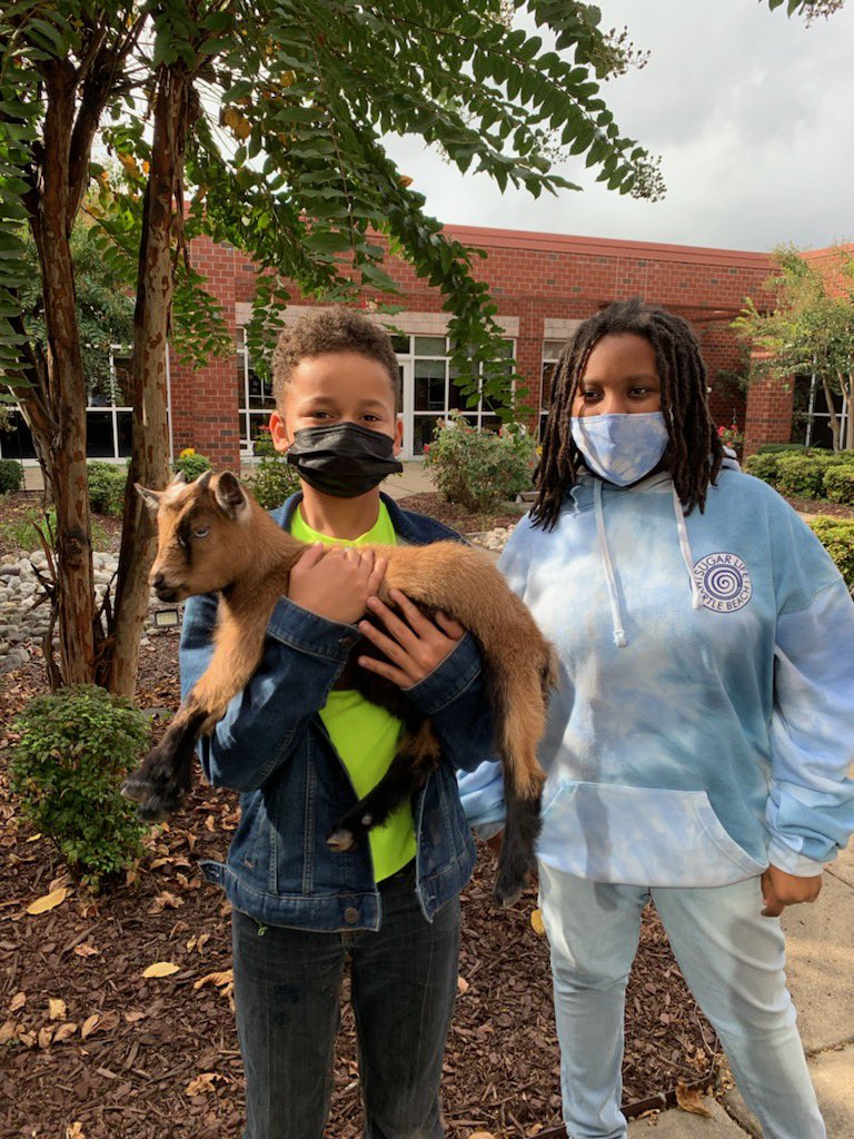 JolliffMiddle's tweet photo. Thank You Mrs Atkinson for demonstrating our commitment to making school fun and interactive! The goats are great, smile-inducing visitors! #allinforgoats #pygmypower #engageCPS https://t.co/I7yeldrkbN
