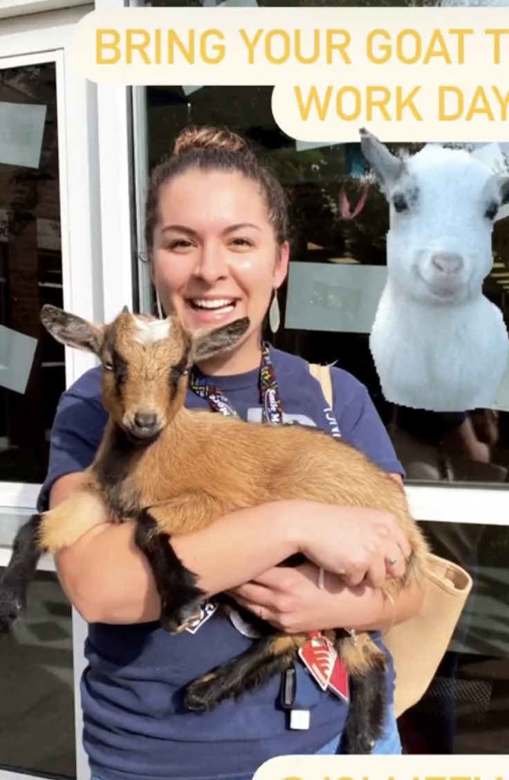 JolliffMiddle's tweet photo. Thank You Mrs Atkinson for demonstrating our commitment to making school fun and interactive! The goats are great, smile-inducing visitors! #allinforgoats #pygmypower #engageCPS https://t.co/I7yeldrkbN