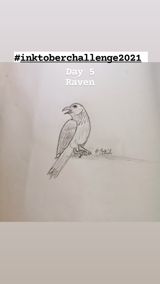 EthilF's tweet photo. Day 5
Raven 
#inktoberchallenge2021 #inktober2021 #inktober #inktoberday5 #inktoberraven https://t.co/cbp9h8E8PX