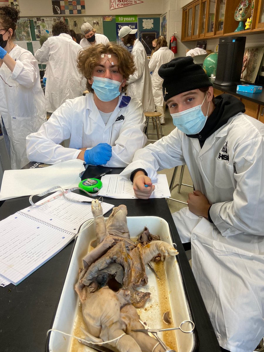 Chippewa Secondary School tweet media