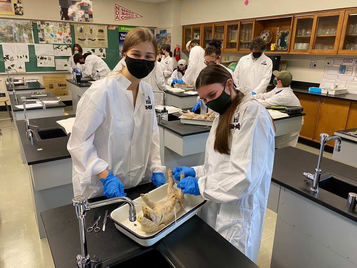 Chippewa Secondary School tweet media