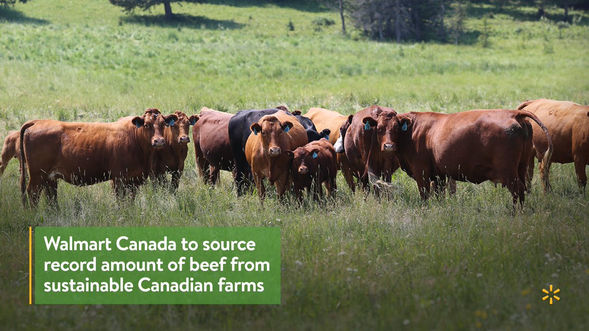 WalmartNews's tweet image. .@walmartcanada will purchase 1.5M pounds of beef from @CRSB_beef Certified sustainable farms, the largest known quantity sourced by a single retailer in Canada, supporting environmental, social &amp;amp; economic sustainability of certified farmers &amp;amp; ranchers. bit.ly/3oD3PxX