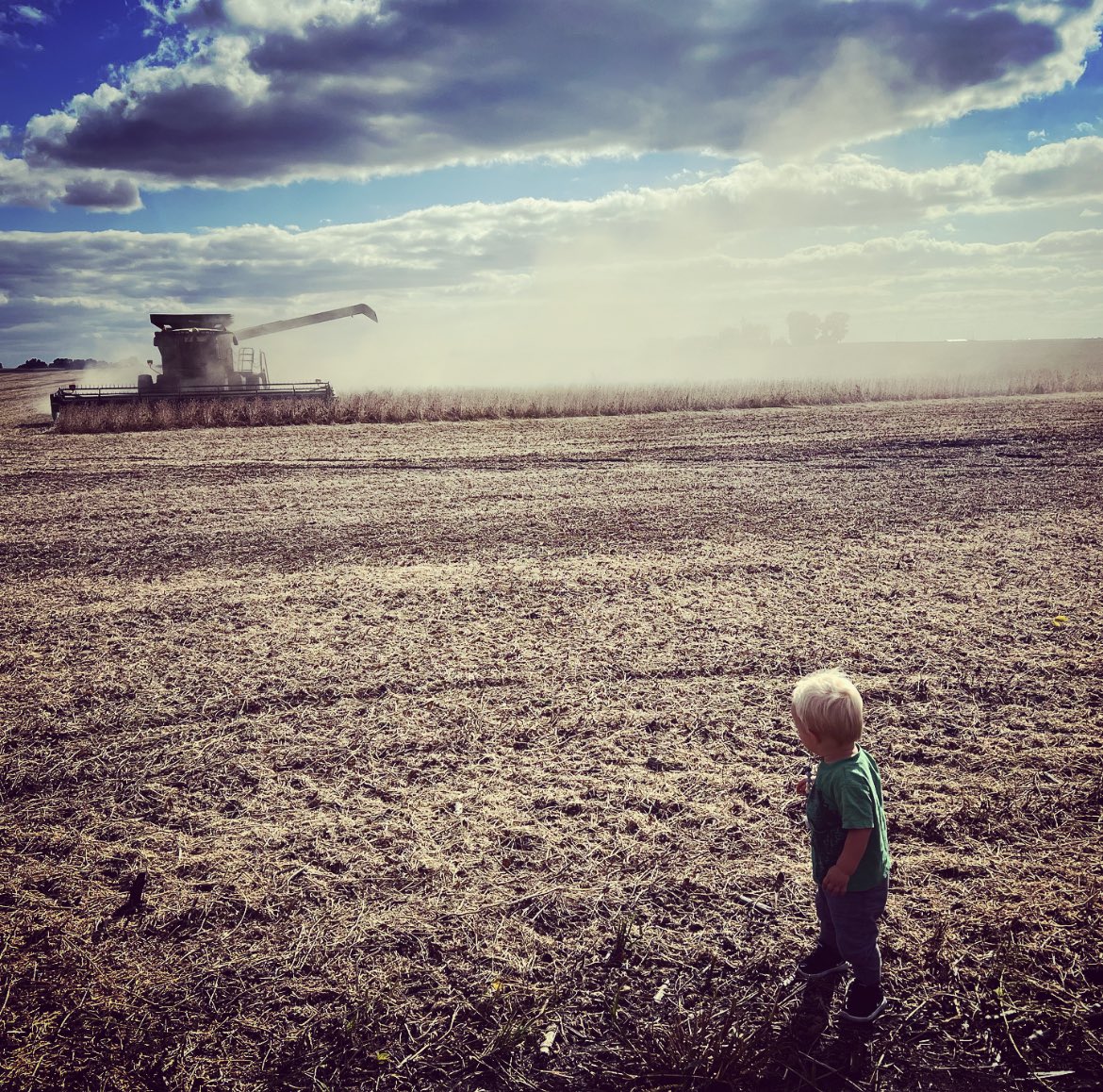 BeyerSeed's tweet photo. #harvest21 with my boy!
@BecksHybrids @abbyrbeyer https://t.co/c9nwSLwefL