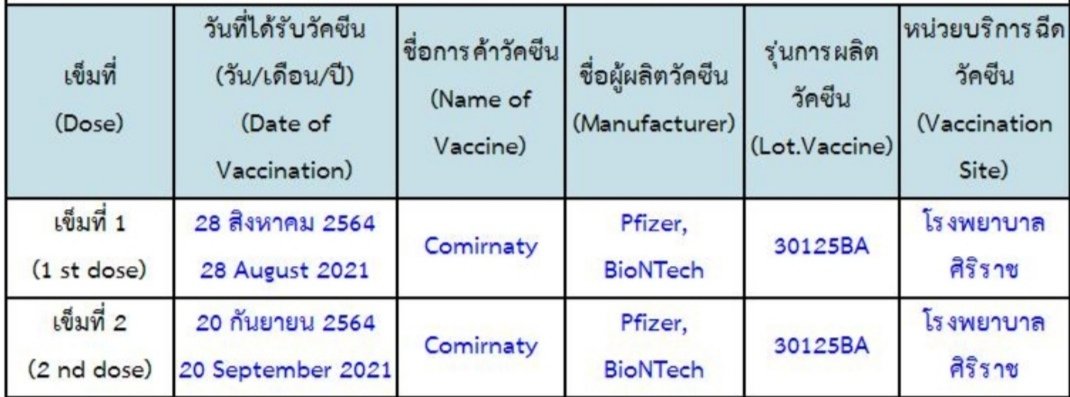 จิ้งจอกชื่อจิ้งจก tweet media