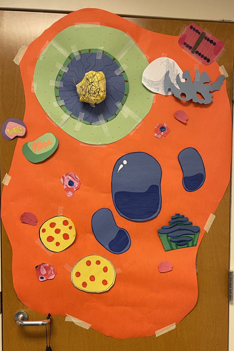 ehmyrick's tweet photo. These #honorsbio kids did a great job making their #cell and #cellcity Can you spot all the organelles? @NewKentStrong https://t.co/0m2PAKBhVj