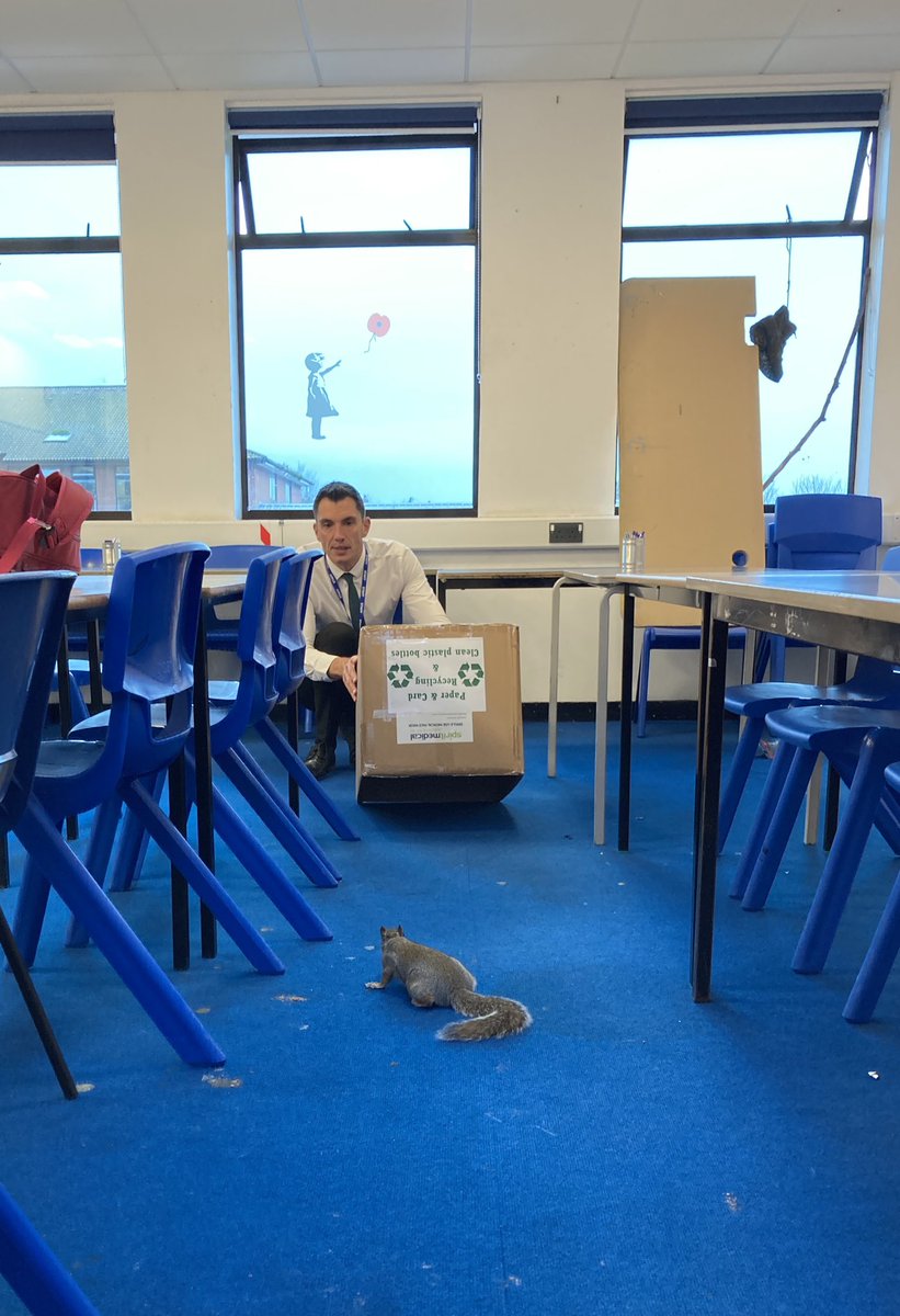 tin_teacher's tweet photo. Sometimes a Head’s job isn’t just herding cats @MrDWilkes https://t.co/ZZwdM24kNZ