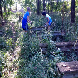 parkwayssc's tweet photo. Shoutout to Parkway's Carman Trails Elementary, @RossElementary, and @parkwayspark Bioscience for participating in this years Green Schools Quest! Looking forward to sharing some amazing projects! @USGBCMoGateway https://t.co/rdcugOdeOH