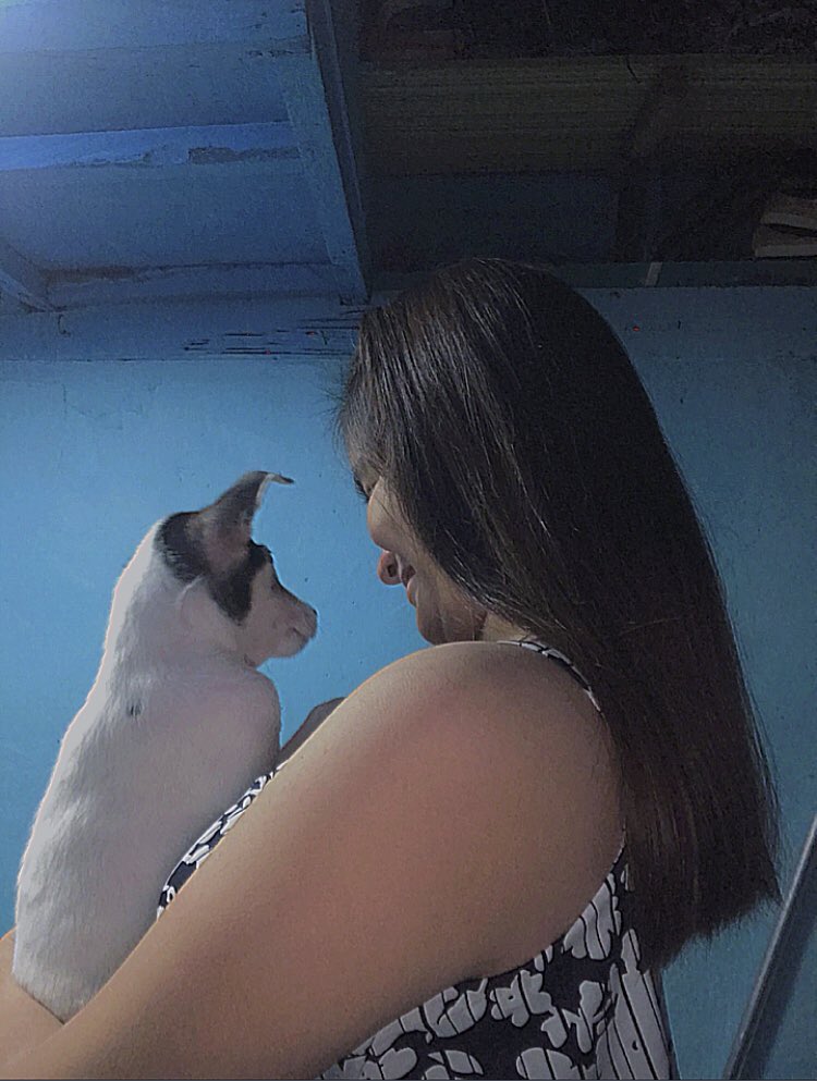 generosaaaa's tweet photo. my loooove, always 🐶🐾🤍 https://t.co/ZZvBRP0IXj