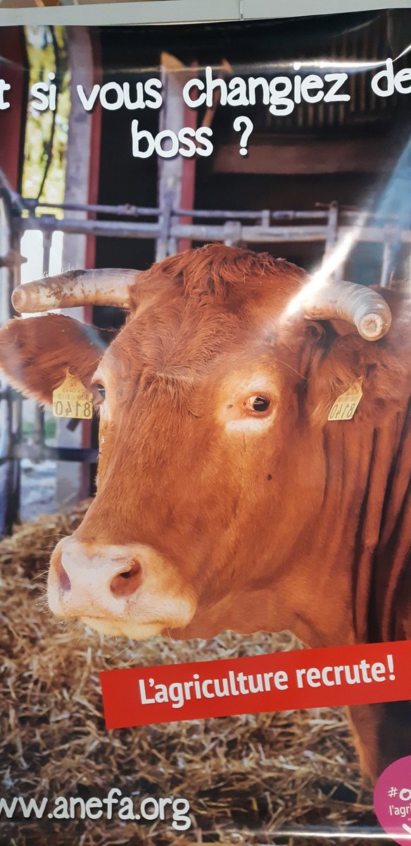 Cécile GUEUX tweet media