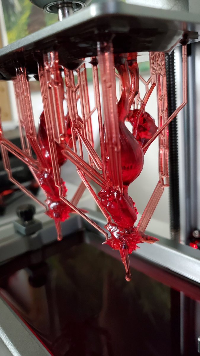 Rapid Proto Dragon 3D (@proto_rapid) / Posts / X