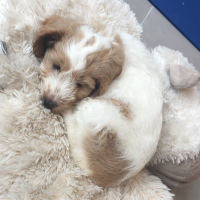 chloejunesavage's tweet photo. #NewProfilePic https://t.co/728fDJZeQO