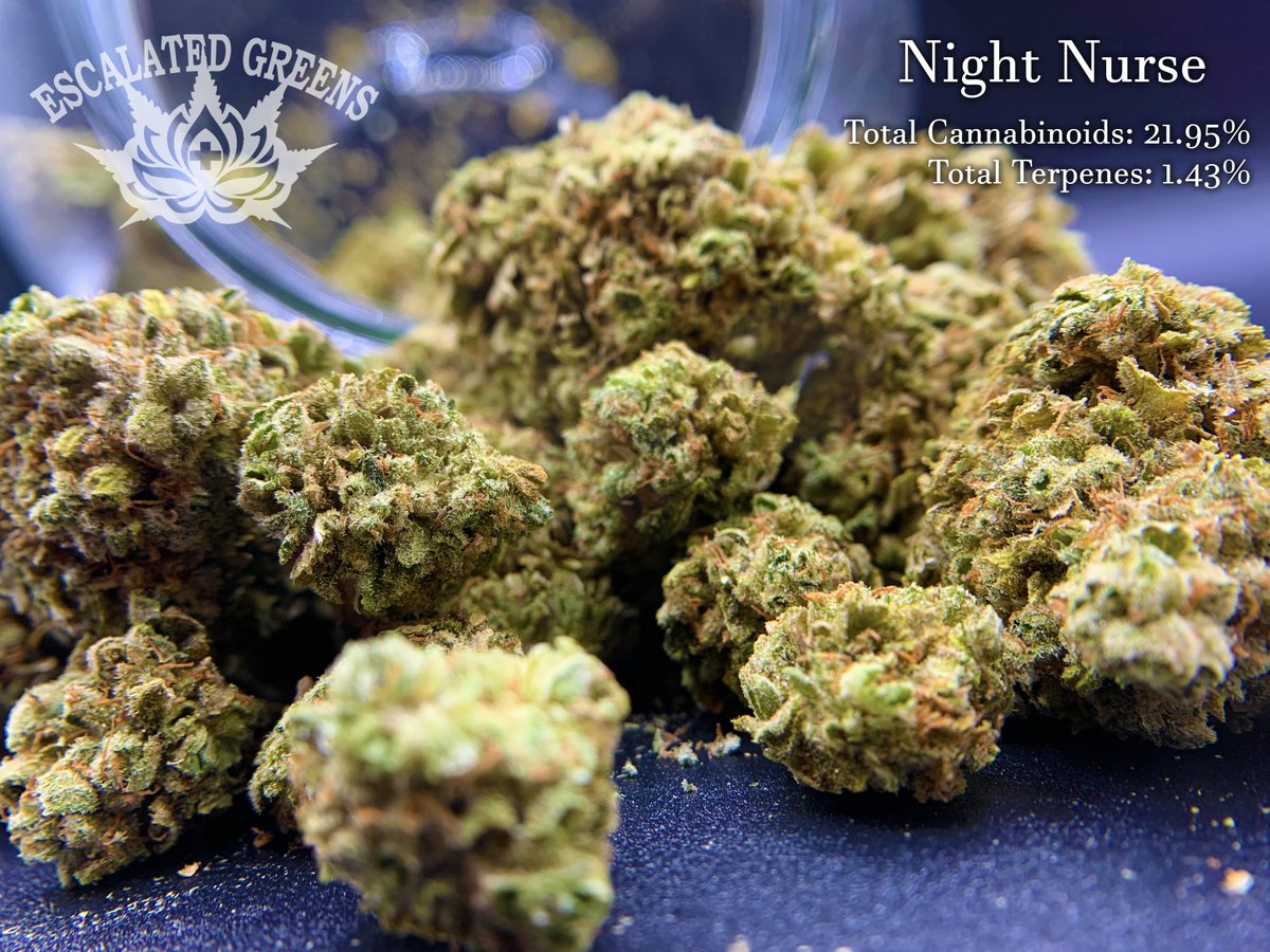 EscalatedGreens's tweet photo. Night Nurse is a heavy indica that is popular with patients who experience chronic pain and insomnia.

#nightnursestrain #nightnurse #okmmj #cannabinoids #escalatedgreens #wegrowtogether https://t.co/XsKJhZNtP3