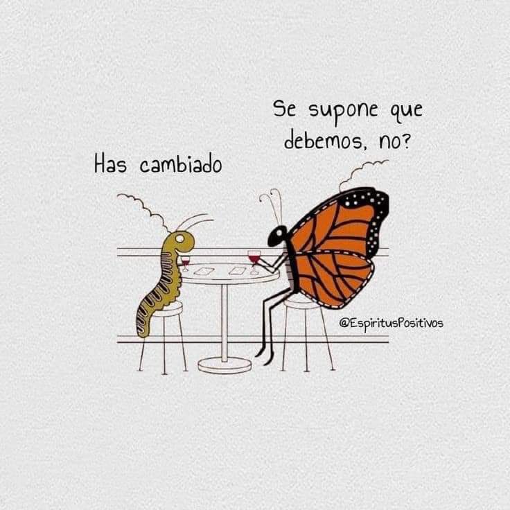 Acción Poética ☕️ tweet media