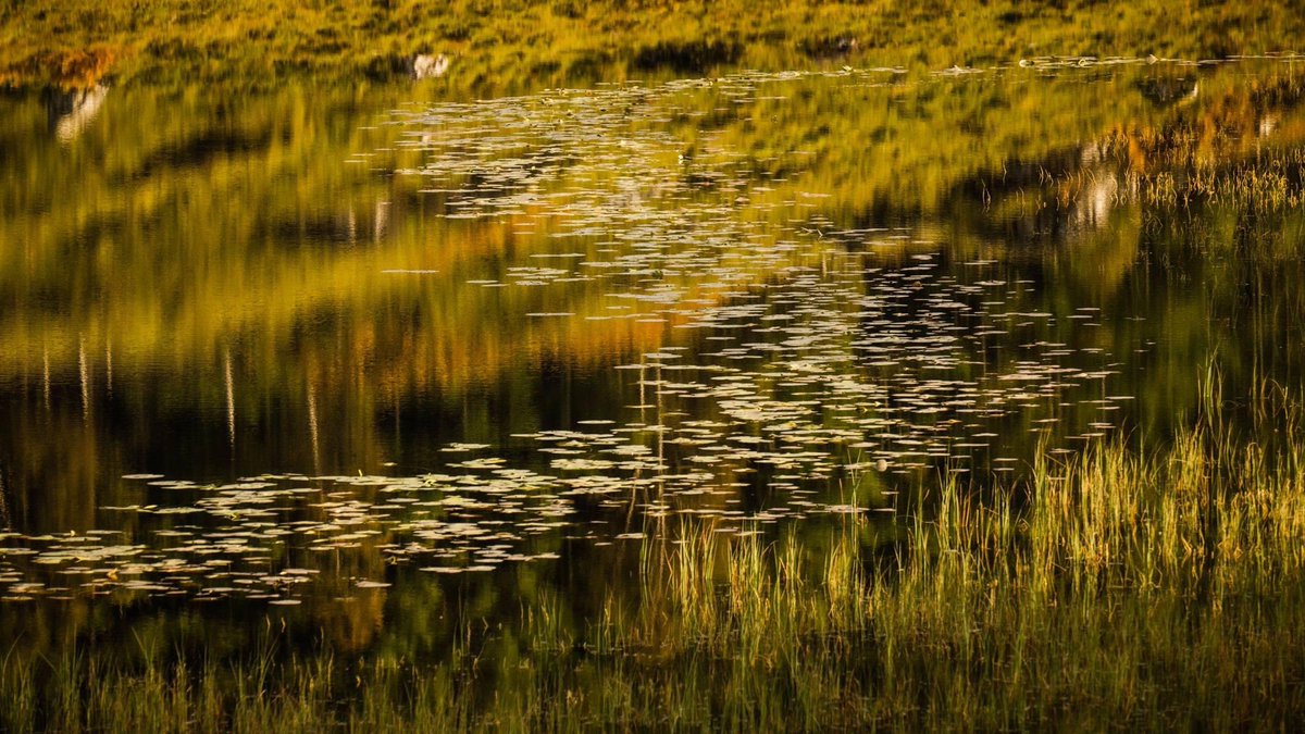 mark littlejohn tweet media