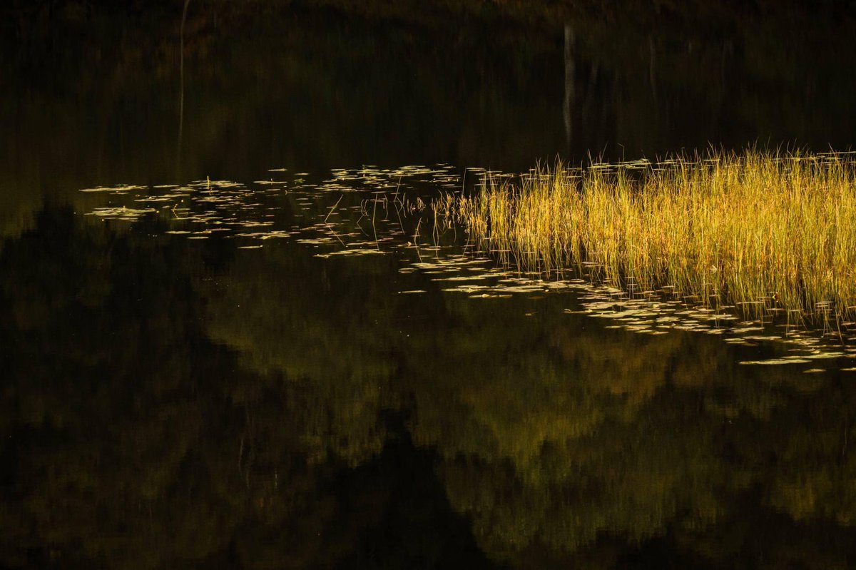 mark littlejohn tweet media