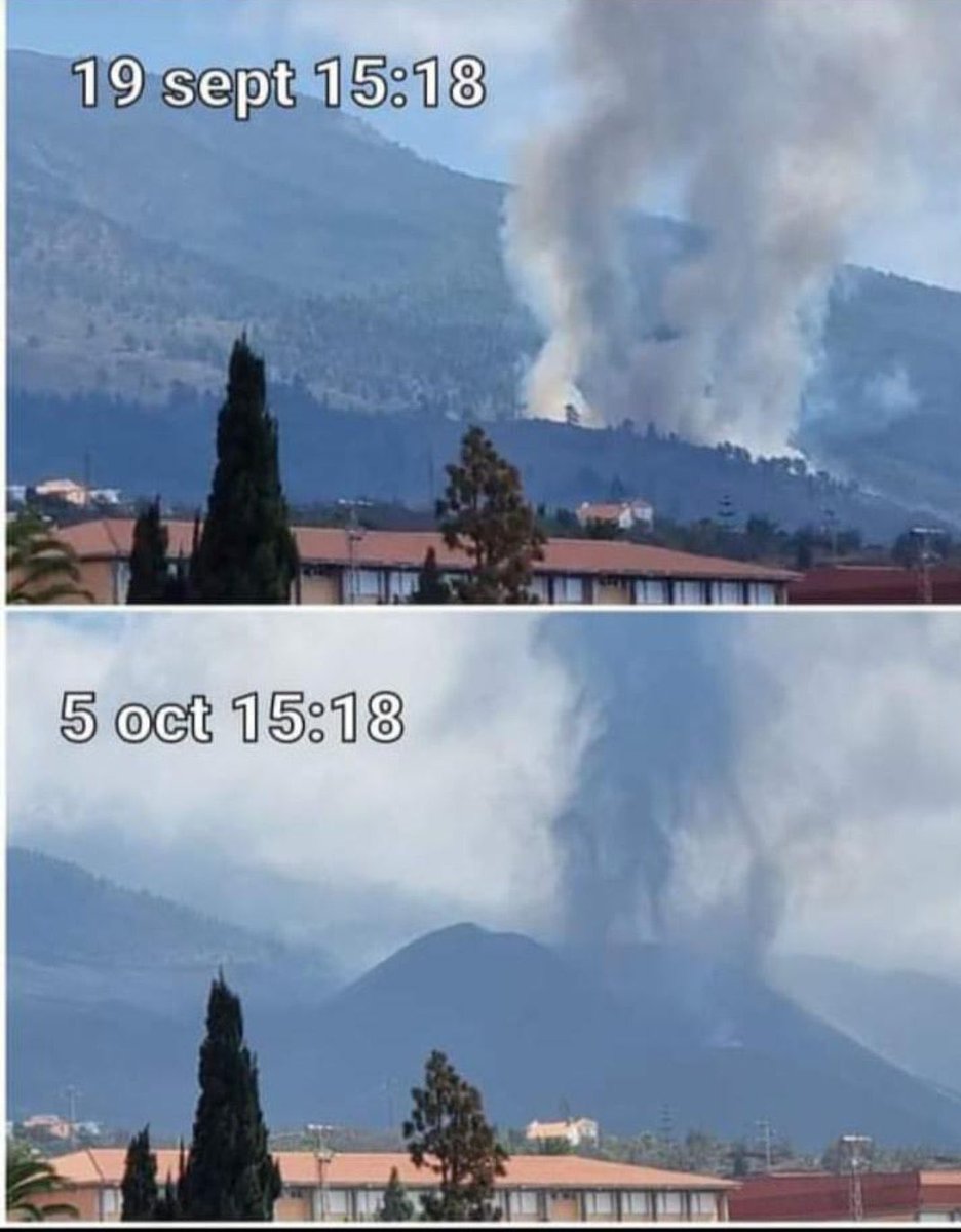 Alistair Hamill tweet media