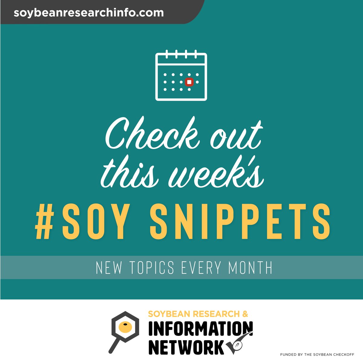 SoyResearchInfo's tweet photo. #SoySnippets: Delayed harvest or late-season diseases reduces soybean grain quality, with more than 7% damage some years, especially in the South. @MSSOY and @UnitedSoy invested in #SoyResearch to identify genetics less likely to incur damage. https://t.co/bTigSv8aTY https://t.co/amkTqQ2eIL