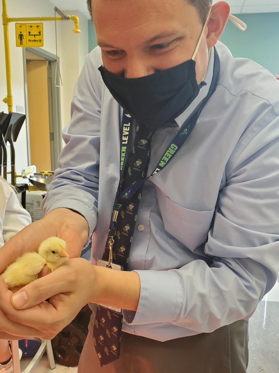 Mr_Viens's tweet photo. We've answered the age old question - the egg came first! BUT THE CHICKS ARE CUTER!!!1!! 🐣 @GreenLevelHigh @wake4h https://t.co/aaawTtgRM2