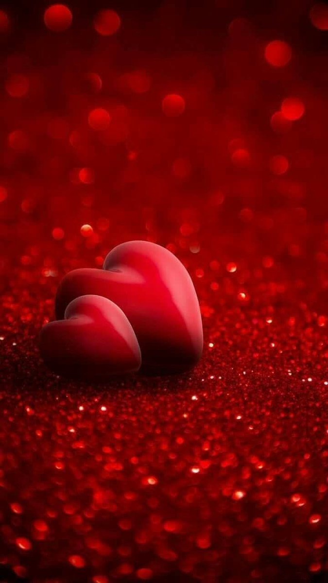 gamalfares1971's tweet photo. @smadarelani https://t.co/JhkNxb7Ejb