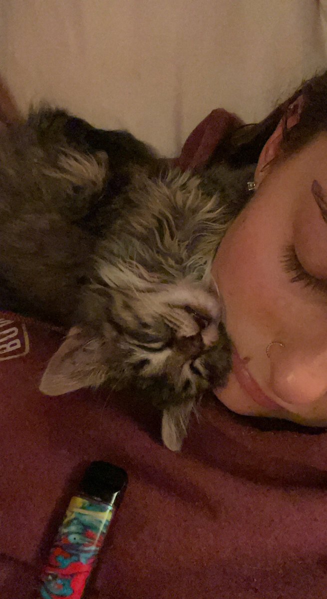 Hp2squared's tweet photo. Everyone meet Salem🥺🖤 https://t.co/MRJNcgWQWr