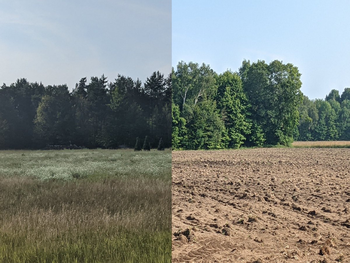 SSEA_SSRAP's tweet photo. Practices like #covercrops help prevent #nutrientrunoff into #drinkingwater sources during rain & snowmelt events. #HSHW covers up to 50-75% of the cost to implement best practices to improve soil & #waterquality. Applications close Oct 31! Visit our website for more info #SSEA https://t.co/dikLhpGCYk