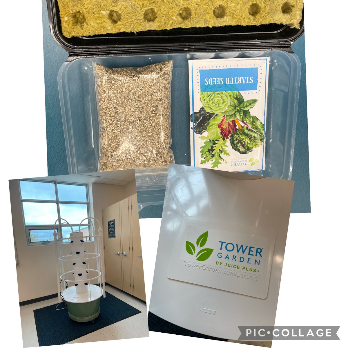 VFrank83's tweet photo. 1 of 2 Tower Gardens were installed today in the ASD Resource room. #vocationalProgramming #ASDProgram #lifeskills @GlenforestSS https://t.co/vxhmrRei0q
