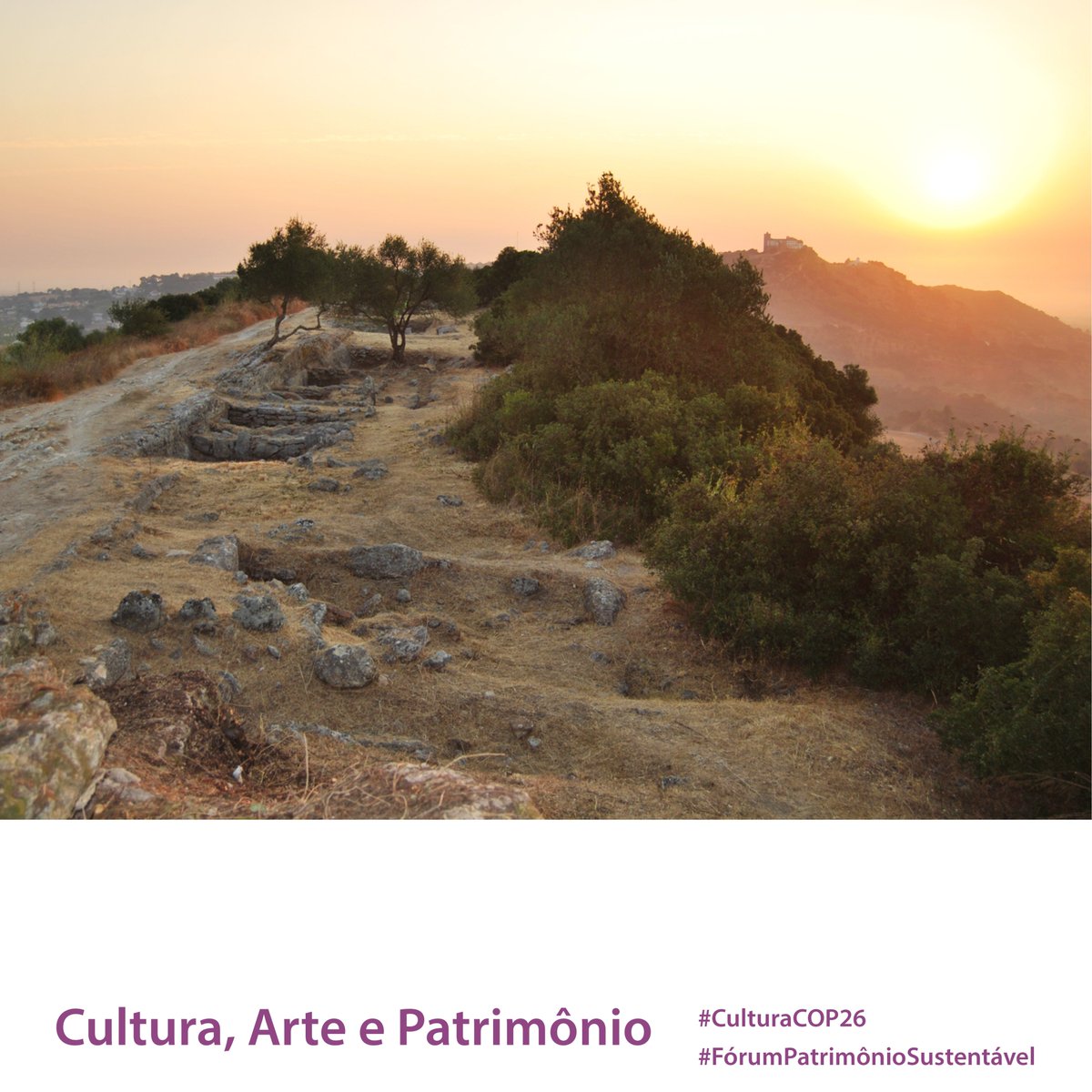 pacc_fops's tweet photo. Campanha Cultura, Arte e Patrimônio

Alcaria do Alto da Queimada. Palmela, Setúbal, Portugal. ph: Museu Municipal de Palmela

https://t.co/9RPJXpCsNi

#CulturaCOP26 #CultureCOP26 #PatrimonioClimático #ClimateHeritage #FórumPatrimônioSustentável #SICAP2021 #ISCAH2021 https://t.co/G1SSdbtFmb
