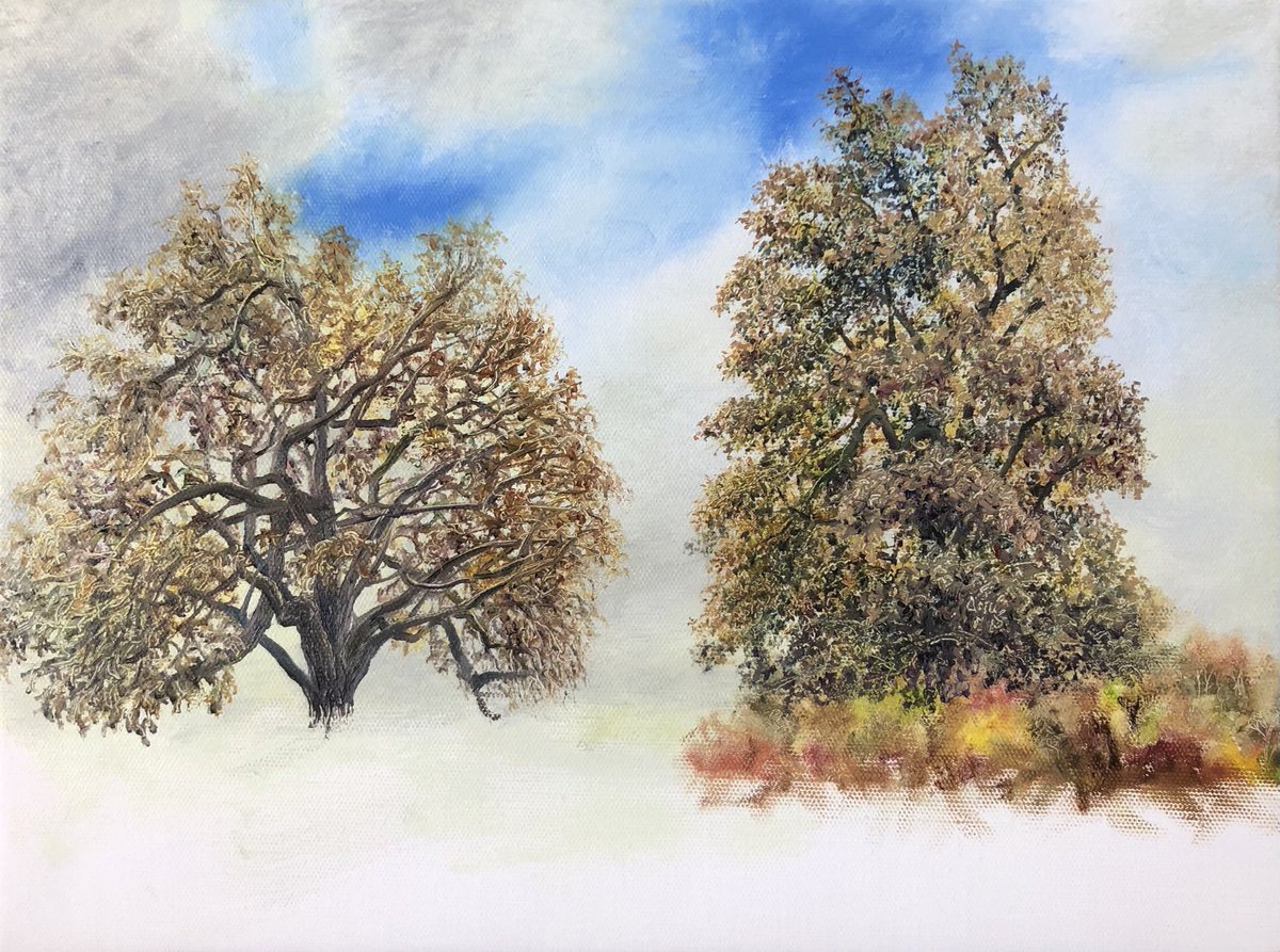 Holly Brodie tweet media