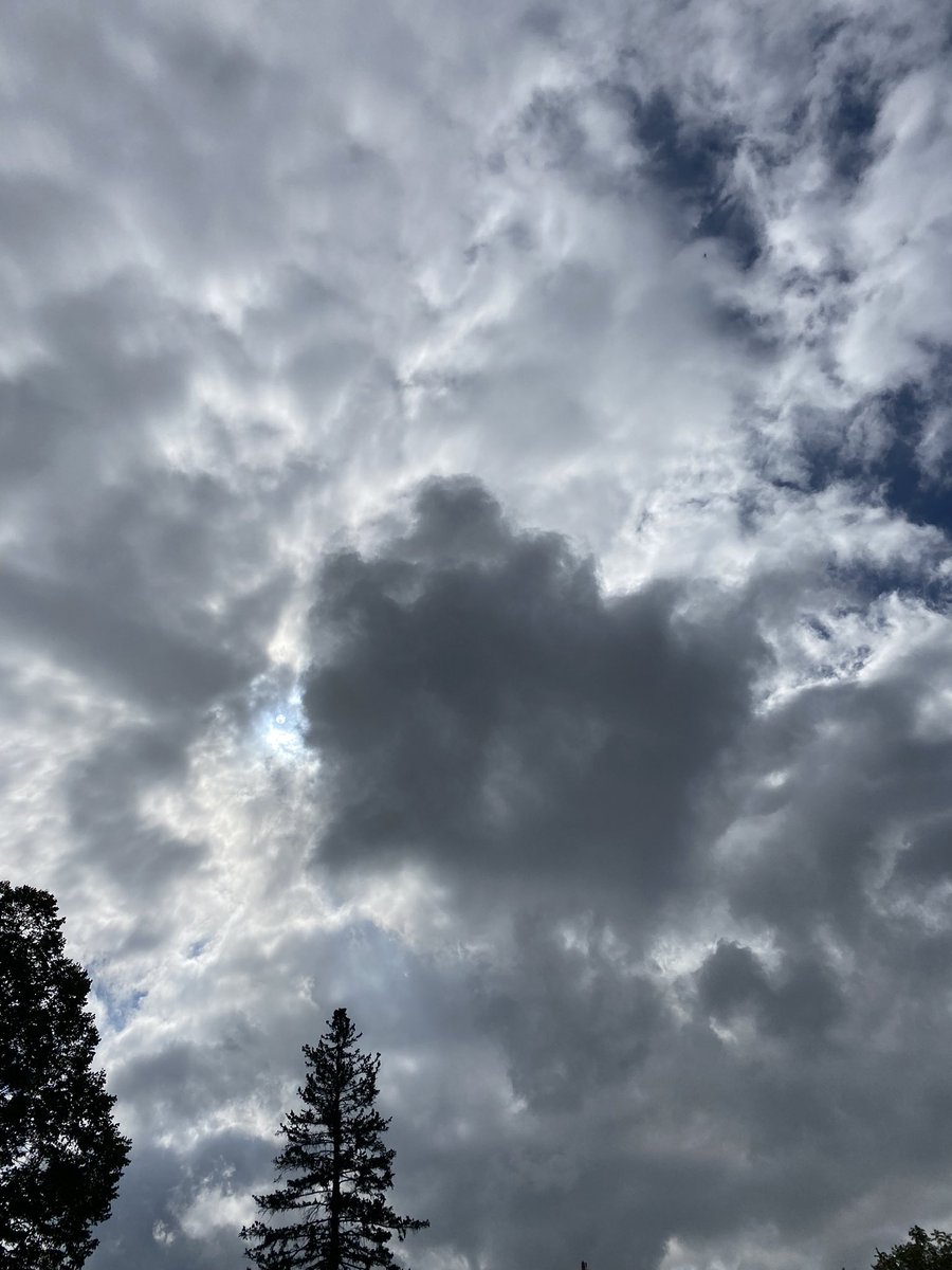 moon tweets tweet media