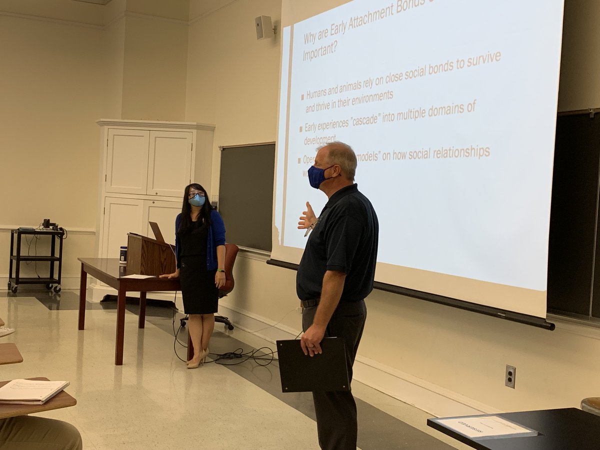 Beth Morling tweet media