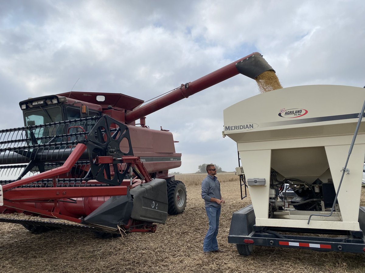 VOberbroeckling's tweet photo. Harvesting an XF Bean plot today near Oskaloosa IA! Thank you DeBruin Farms and Agriland FS for the partnership! #harvestNK21 https://t.co/7iq2g7VWr1