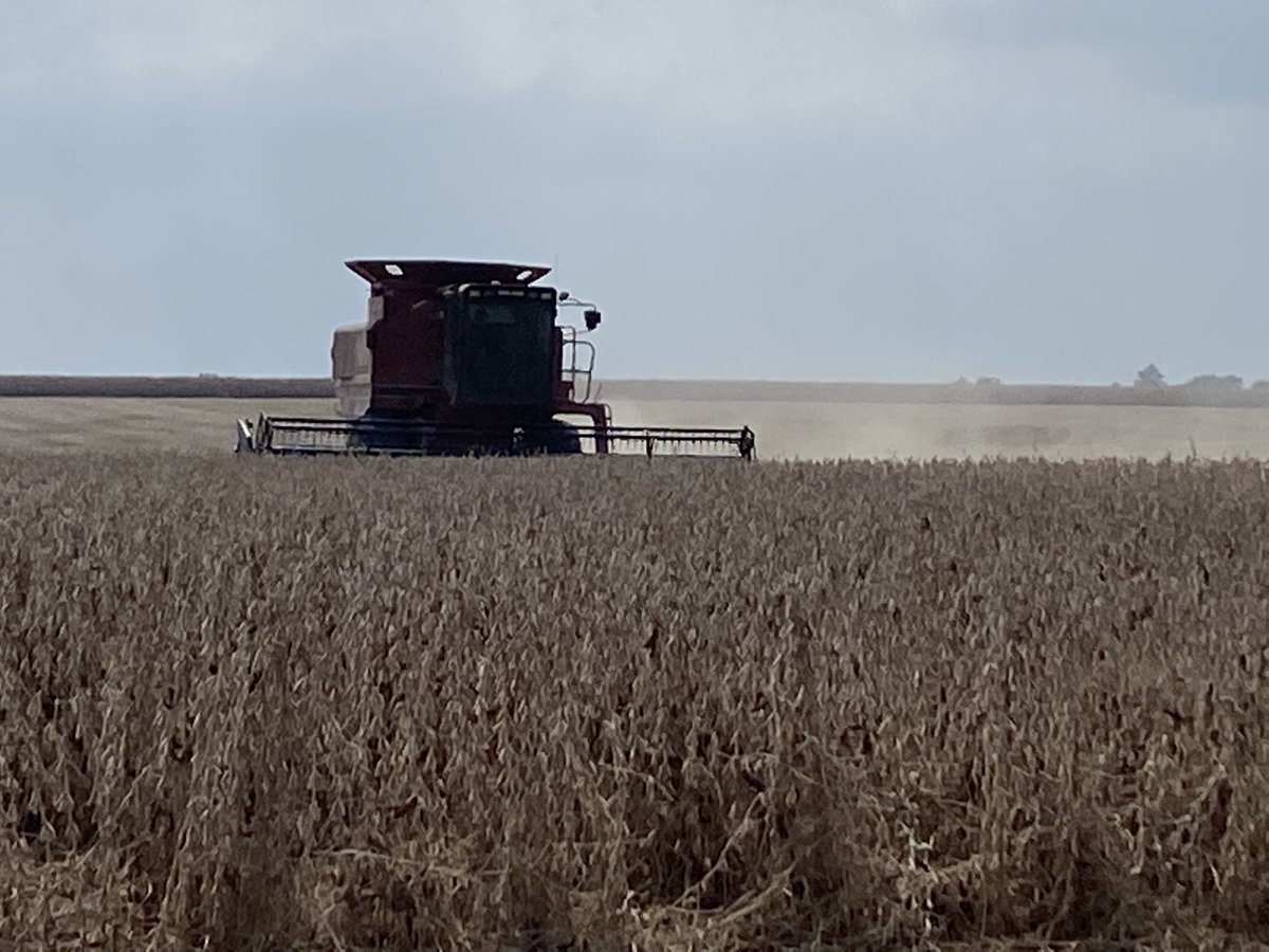 VOberbroeckling's tweet photo. Harvesting an XF Bean plot today near Oskaloosa IA! Thank you DeBruin Farms and Agriland FS for the partnership! #harvestNK21 https://t.co/7iq2g7VWr1