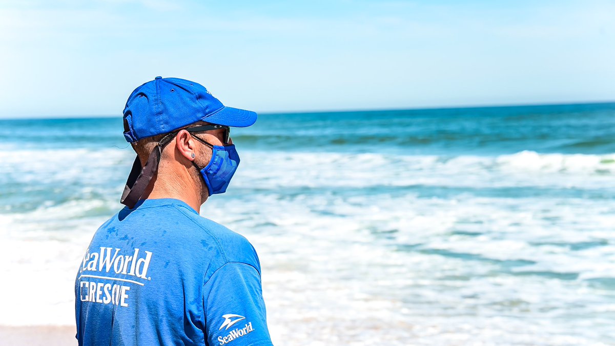 SeaWorld's tweet photo. We’ve been receiving inquiries related to our involvement in rescuing and caring for the animals who have been impacted by the oil spill in the Pacific Ocean. We can confirm that the SeaWorld San Diego rescue team is actively assisting in search and recovery efforts…1/3 https://t.co/mZQQH4b6w6