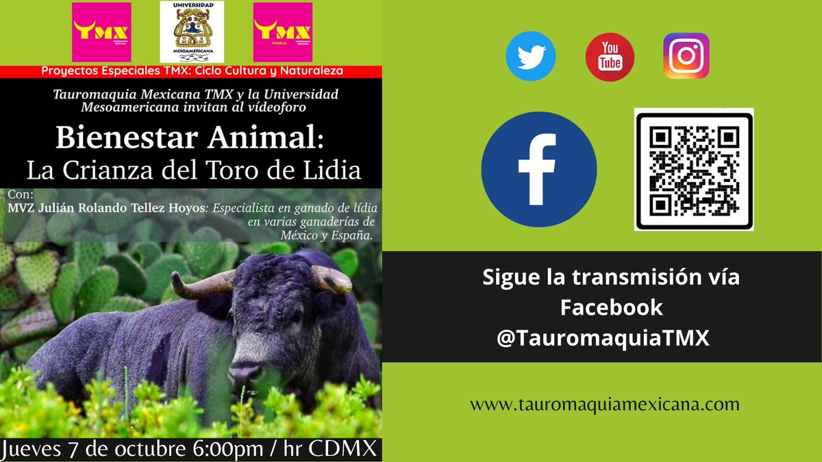 TauromaquiaTMX's tweet photo. 🟢 Tauromaquia Mexicana #TMX y la Universidad Mesoamericana te invitamos al #VideoForo “BIENESTAR ANIMAL: La Crianza del Toro de Lidia” 🐃🌳🍃
🗓 Este jueves 7 de octubre a las ⏰ 6:00pm
#BienestarAnimal #SiAlosToros #VeterinariosTaurinos #ToroDeLidia #SoyTaurino #todossomostmx https://t.co/87RIJsG9ZG