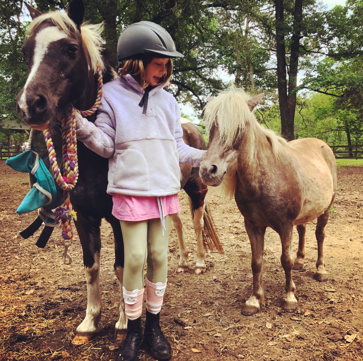 mswyllie's tweet photo. @joshuagates my daughter wants me to invite you to our farm in #florida. It’s the site of a murder and spooky things happen … she also said please bring @JessicaChobot https://t.co/SPm7T4Iu1J