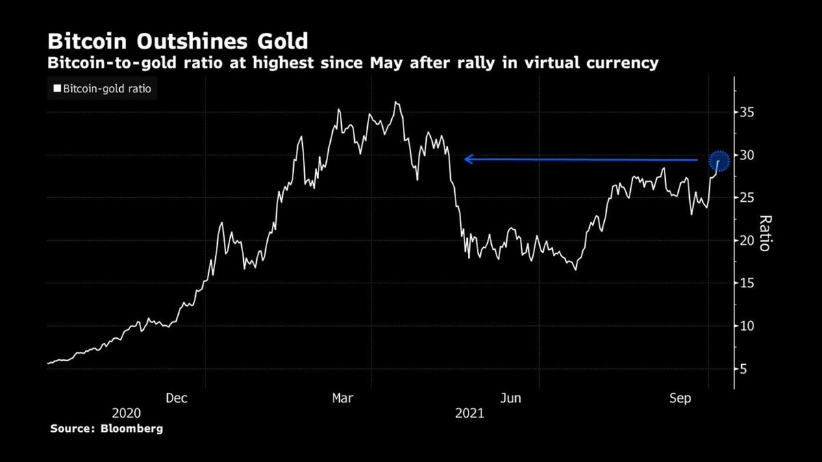 Bloqport Insights tweet media