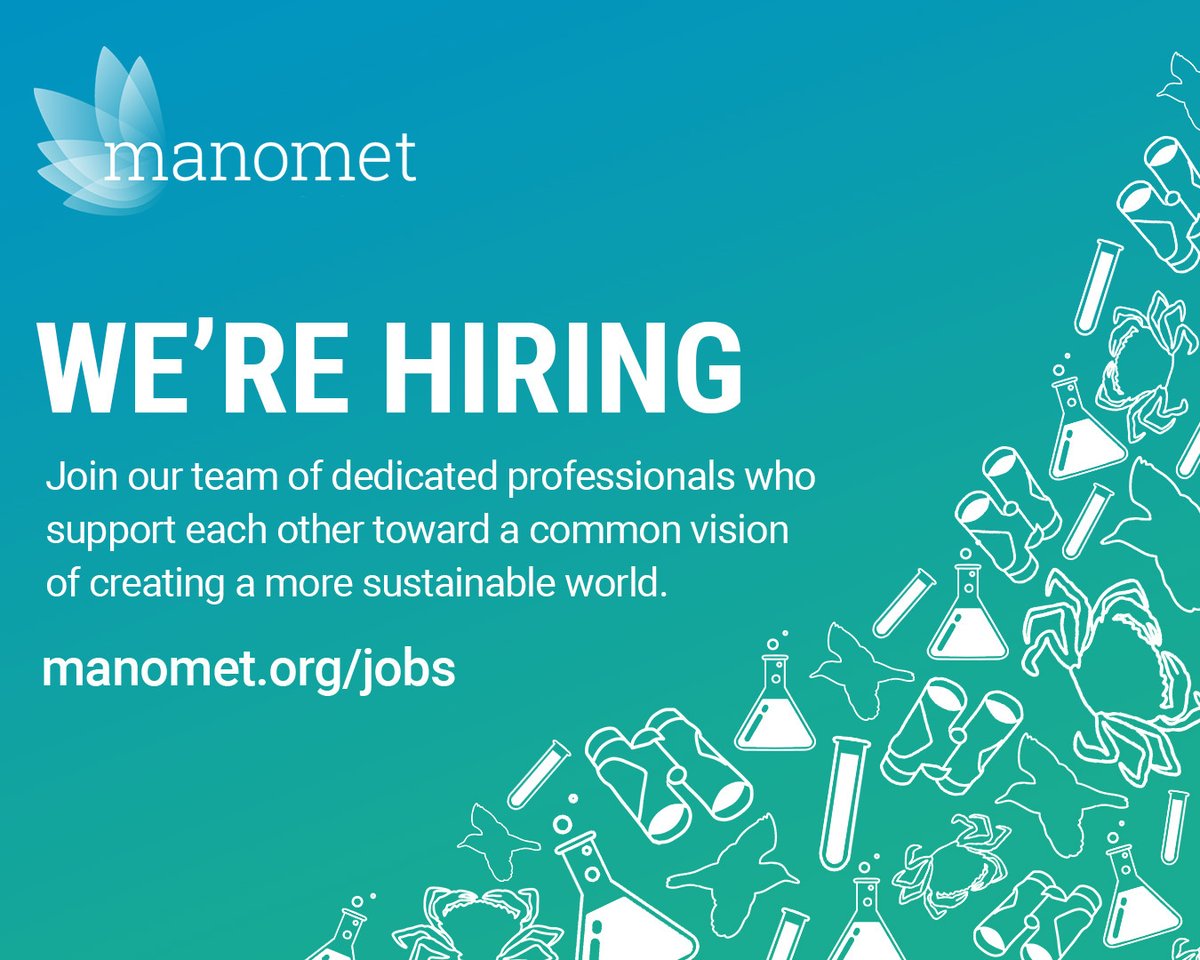 We're #hiring a #Texas-based #ShorebirdBiologist to join our #science team! Visit manomet.org/jobs to learn more.