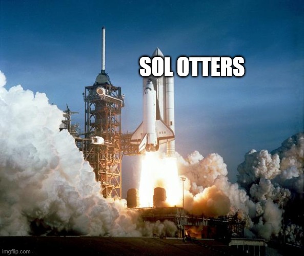 SolOttersNFT's tweet photo. Our discord is approaching 500 members! We have more than doubled our discord in 12 hours! Sounds like we heading straight for the moon! 🚀

There still spots for the FREE MINTS too 👀

#nftcollector #NFTs #NFTGiveaway #NFTGiveaways #Solana #SolanaNFT #SolanaNFTs #solanaszn #SOL https://t.co/SEQqduW7hS