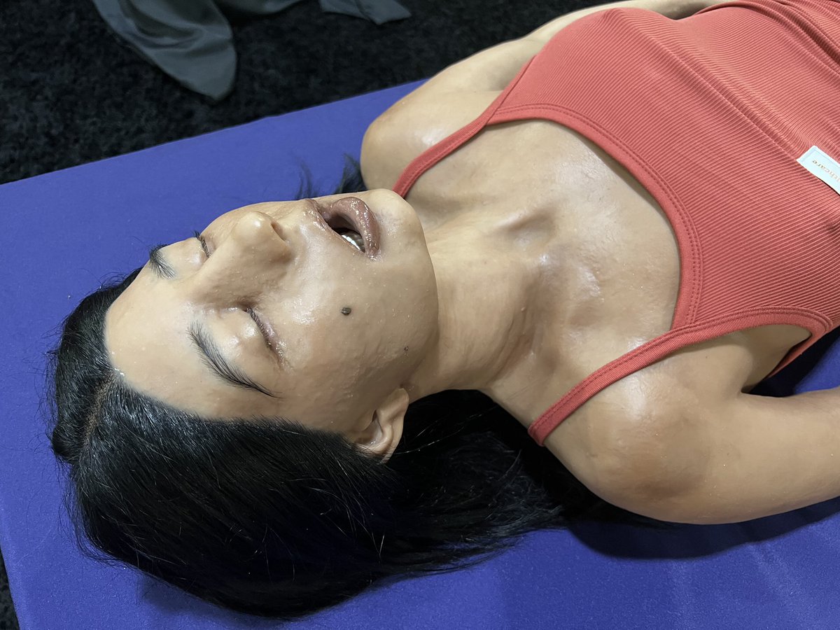 echosimulation's tweet photo. Showcasing the range of our female Lifecast manikins! #highreality #realism #simulation https://t.co/WqapkP4NBk