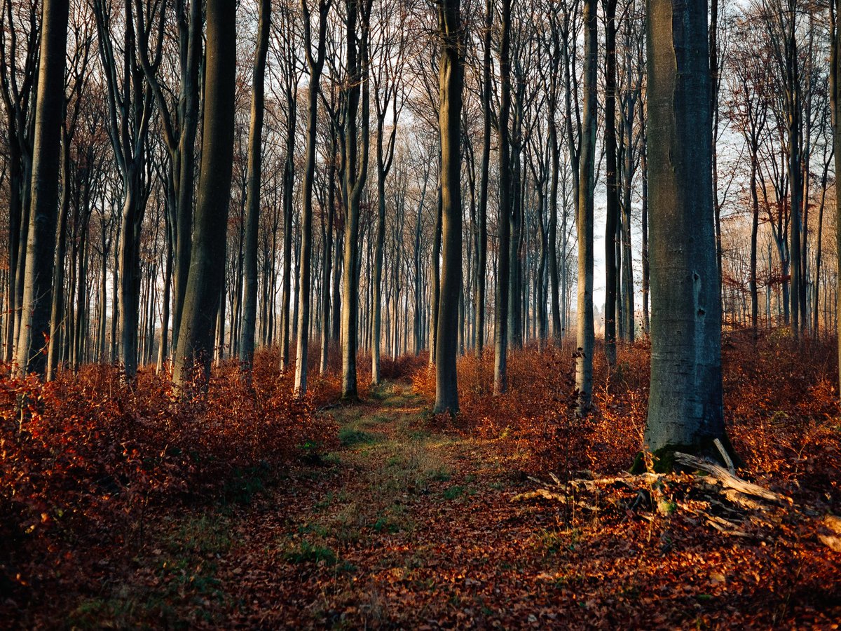 raoulfilm's tweet photo. the film 🎞 the photos 🍂 https://t.co/g8qlKwGiCh